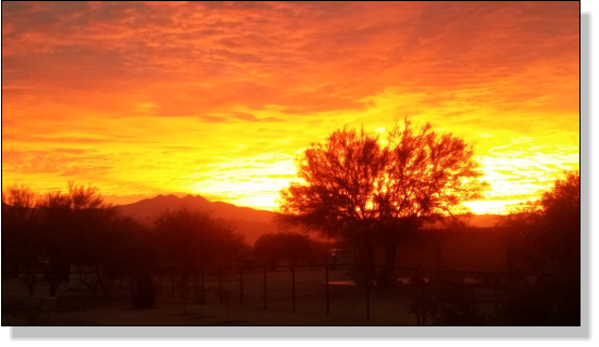 Happy Horse Ranch Sunset